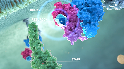 3D rendering of how REZUROCK increases phosphorylation of STAT5 to reduce inflammation